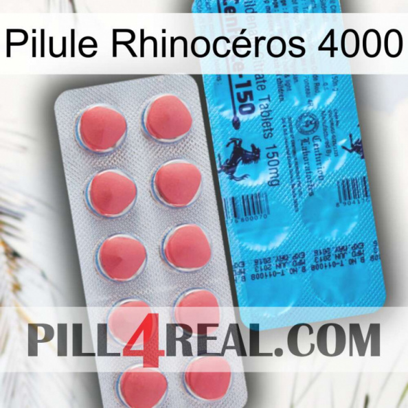 Pilule Rhinocéros 4000 new14.jpg